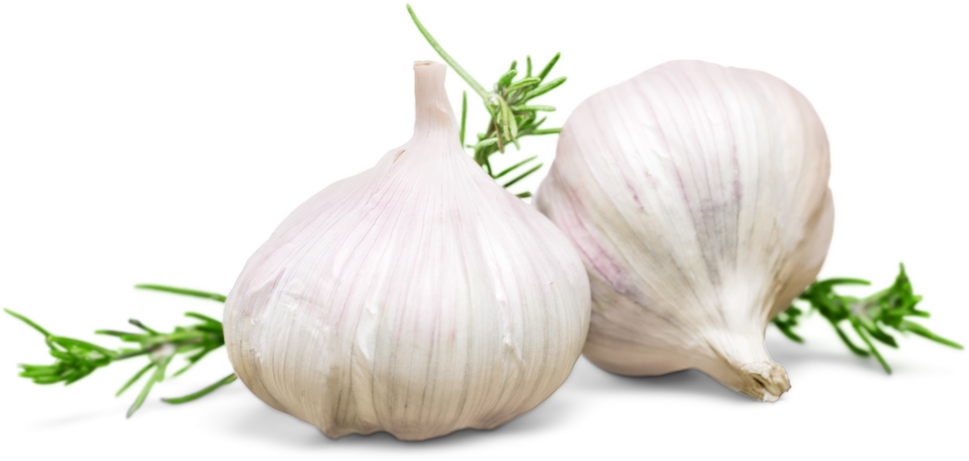 Garlic and Herbs 